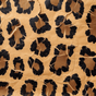 Leopar